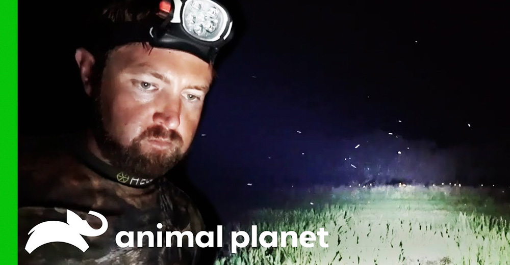 Extinct or Alive Animal Planet